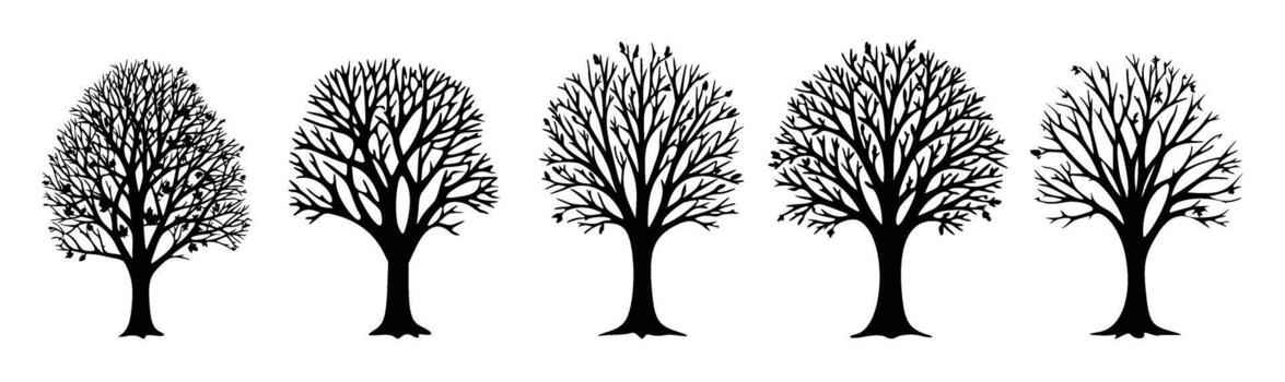 silueta de desnudo arboles vitrinas el rígido belleza de naturaleza en invierno, con intrincado rama patrones creando un cautivador visual monitor en contra el claro fondo vector