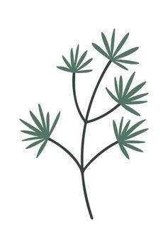 Conifer tree branch with needles vector