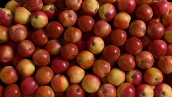 Mela transizione con alfa su trasparente sfondo. 3d interpretazione video