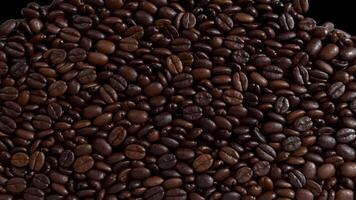 caffè fagioli transizione con alfa su trasparente sfondo. 3d interpretazione video