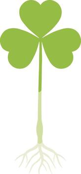 Minimalist Flat Style Shamrock with Root Isolated on White Background vector