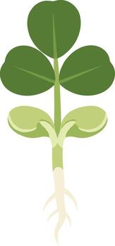 Flat Style Illustration of Sprout with Root System and Three Leaf Clover vector