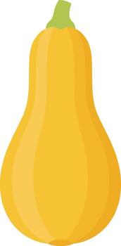 A squash on a white background vector