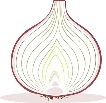 Stylized illustration of a red onion cut in half showing its internal layers vector