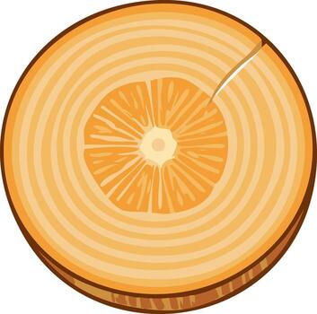 Cross Section of a Tree Trunk Showing Annual Rings and Growth Pattern vector