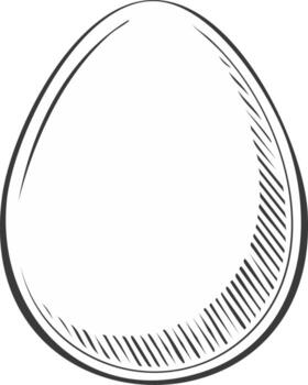 Simple egg illustration in a hand-drawn sketch style with line art hatching vector