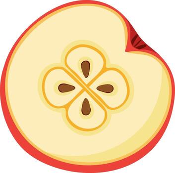 illustration of a fresh red apple cross-section showing the core and seeds vector