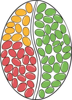 Abstract illustration of an egg shape divided into three colored sections with unique elements vector