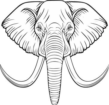 Elephant head line art drawing with large tusks and trunk facing forward vector