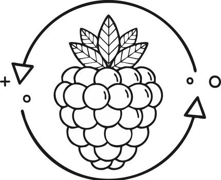 Outline raspberry with recycle process, fruit, arrow, plus and minus vector