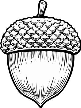 Stylized acorn drawing with bold lines, scales on cap, nut design, black and white rendering for various autumn projects vector