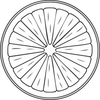 Outline drawing of a citrus fruit slice with segments isolated on a white background vector