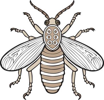 estilizado ilustración de un con alas insecto desde un dorsal ver con estampado tórax vector