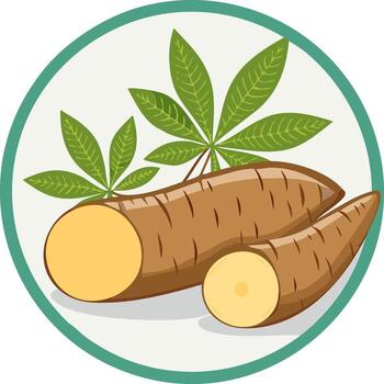 Cassava Root and Leaves in Round Frame Tropical Crop Food Source vector