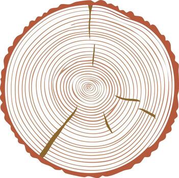 Cross section of a tree trunk with visible annual rings and cracks, flat illustration vector