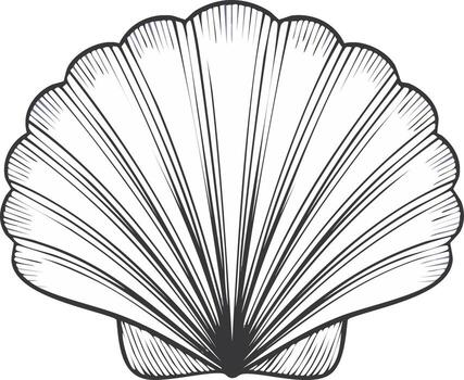 Hand Drawn Seashell Illustration with Hatching Lines for Design Elements vector