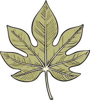 Stylized botanical illustration of a single green fig leaf with multiple distinct lobes and detailed veins vector