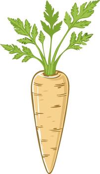 Cartoon Illustration of a Single Parsnip with Green Leaves Image vector