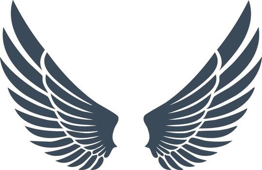 Stylized Isolated Wings Silhouette Spread Out Design, Graphics Element vector