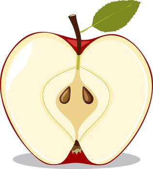 Fresh red apple cut in half showing the core seeds and a green leaf in a simple style vector
