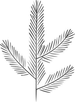 Elegant Drawn Spruce Branch Design Element with Sharp Details on White Background for Winter Christmas Holiday Themes vector