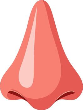 Stylized Human Nose Front View with Subtle Shading and Highlights vector