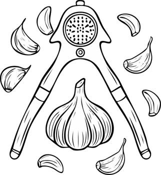 Garlic bulb and cloves with a manual press tool in a simple line drawing style vector