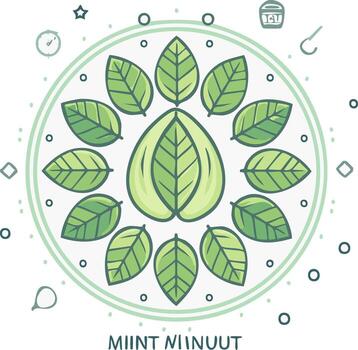 Arrangement of fresh green mint leaves in a circular pattern with playful icons above vector