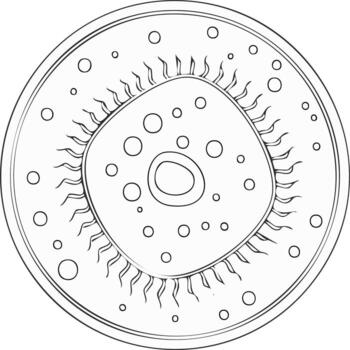 Abstract circular cell illustration with radiating lines and circles vector