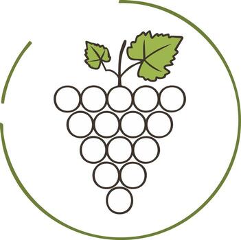 Stylized grape cluster with leaves and outline circle graphic representing viticulture vector