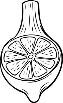 Stylized halved lemon slice illustration, citrus fruit with juice dripping, line art drawing design element vector