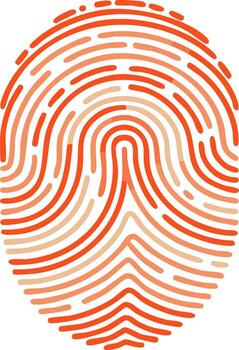 Abstract Red Fingerprint Pattern Graphic Design Identification Concept vector