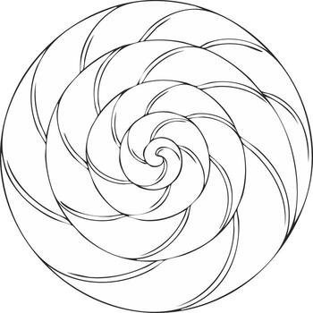 Abstract spiral pattern resembling a nautilus shell or whirlpool in black outline vector