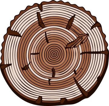 Cross section of a tree trunk showing annual rings and cracks illustration vector
