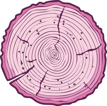 rosado árbol anillo cruzar sección con grietas y árbol años crecimiento anillos diseño elemento ilustración vector