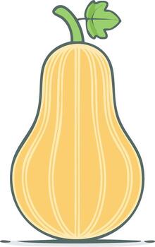 illustration of butternut squash with a leaf and stem vector