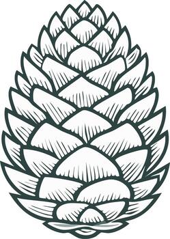 Illustration of a Pine Cone in Graphic Design Style vector