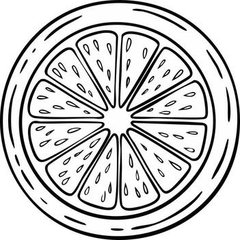 artístico línea dibujo de un agrios Fruta rebanada con jugoso segmentos y pepitas vector