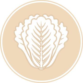 Stylized Icon of a Napa Cabbage Head with Leafy Texture and Simple Circle Frame vector