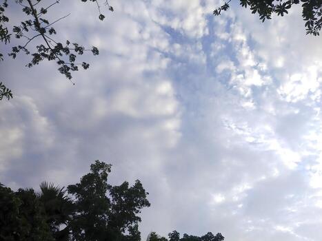 Looking up through tree branches at a dynamic sky with scattered clouds and sunlight filtering through. photo