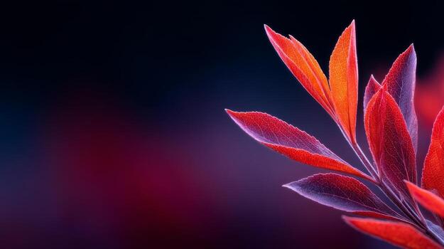 Close-Up of Dewy Red Leaves Against a Dark Background With Soft Bokeh Effect photo