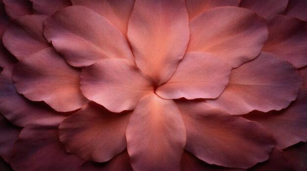 Close-Up Of Intricate Red And Pink Leaf Patterns With Textured Surfaces photo