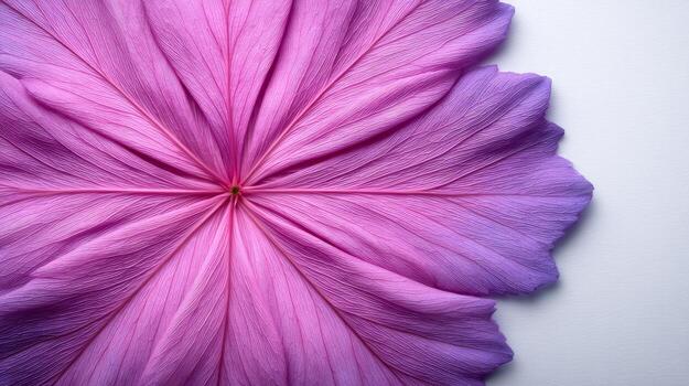 Large Vibrant Pink Leaf with Textured Veins on Soft Gray Background photo
