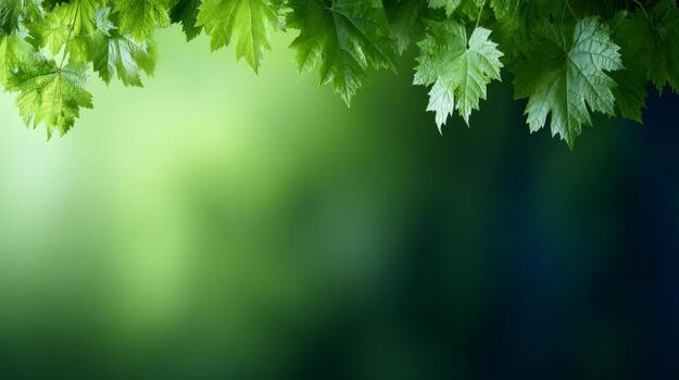Lush Green Leaves Against a Soft Background in Natural Light photo