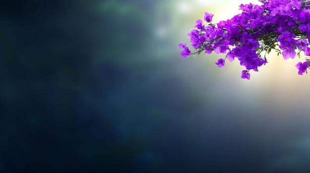 Lush Purple Flowers Against a Softly Lit Background with Gentle Bokeh Effect photo