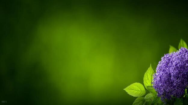 A Vibrant Purple Flower With Lush Green Leaves On A Soft Textured Background photo