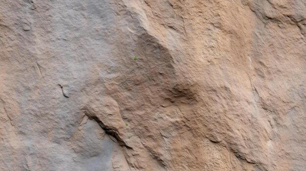 A close-up view of rough, textured rock formations, showcasing varied shades of light brown and gray tones. photo