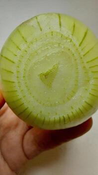 Freshly Cut Onion Held in Hand Showing Distinct Internal Patterns and Textures photo