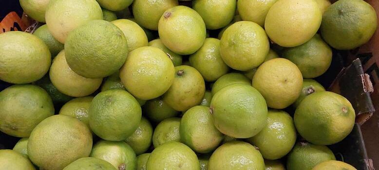 Fresh Lime Fruit Displayed in a Grocery Store for Customers to Purchase photo