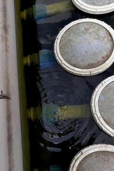 Aerator Diffuser in a Tank Actively Working to Enhance Water Aeration and Circulation photo